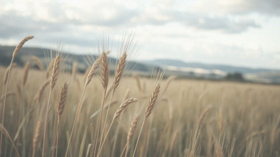 Proursan działa na wątrobę jak kret – właściwości i zastosowanie